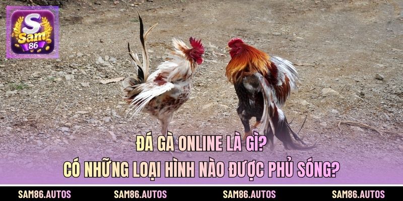 Đá Gà Online Là Gì? Có Những Loại Hình Nào Được Phủ Sóng?