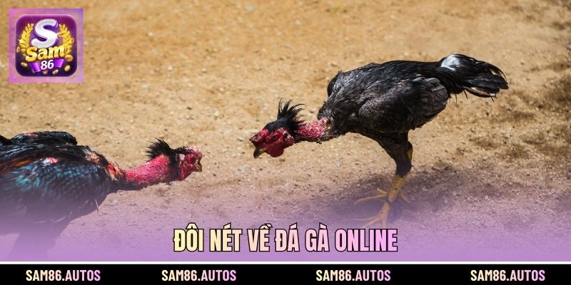 Đôi nét về đá gà online