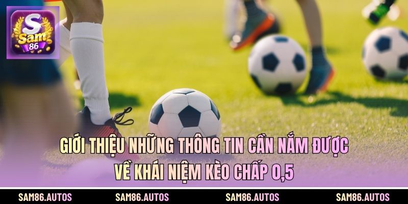 Giới thiệu những thông tin cần nắm được về khái niệm kèo chấp 0,5