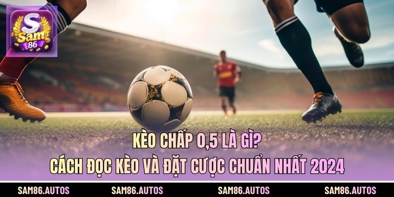 Kèo Chấp 0,5 Là Gì? Cách Đọc Kèo Và Đặt Cược Chuẩn Nhất 2024